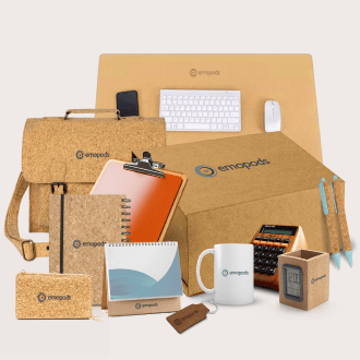 Office Setup Solutions